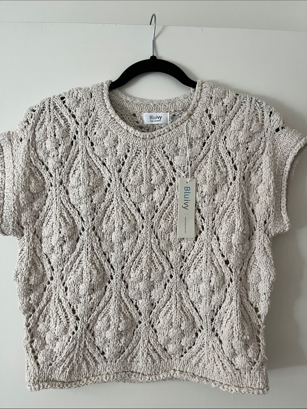 Bluivy Open-Knit Short Sleeve Crew Sweater in Cream